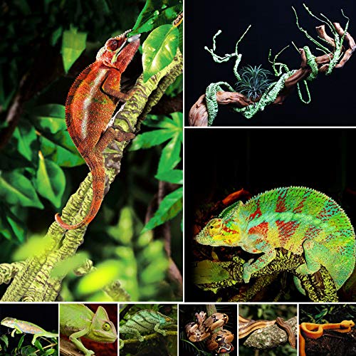 Kathson Reptile Vines Plants Flexible Bendable Jungle Climbing Vine Terrarium Plastic Plant Leaves Pet Tank Habitat Decor For Bearded Dragons Lizards Geckos Snakes Hermit Crab Frogs And More Reptiles thumb #4
