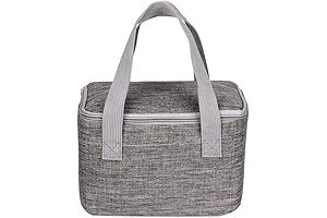 6 Can Small Square Lunch Bag, Insulated Lunch Box For Adults Work Day Trip