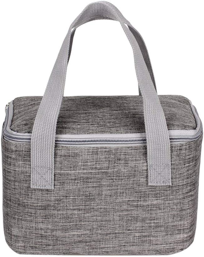 6 Can/4 L Small Cool Bag Handy Square Lunch Bag Insulated Lunch Box for Adults Work Day Trip
