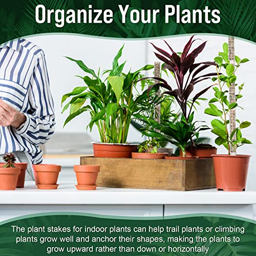 Support plante Monstera avec tuteurs emboîtables en plastique et étiquettes - 8