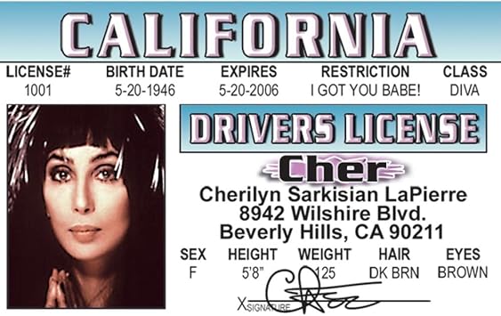 Signs 4 Fun Parody Drivers License | Cher ID | Fake ID Novelty Card | Collectible Trading Card Drivers License | Novelty Gift for Holidays | Made in the USA