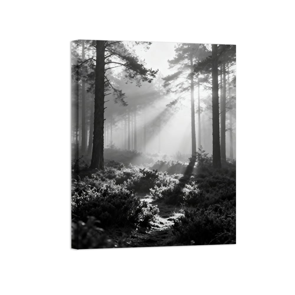 OZPWBVY Black and White Landscape Print Painting-Forest Tree 12-Minimalist Canvas Wall Art Picture for Home Ready to Hang 24x31in 60x80cm Wrapped Canvas