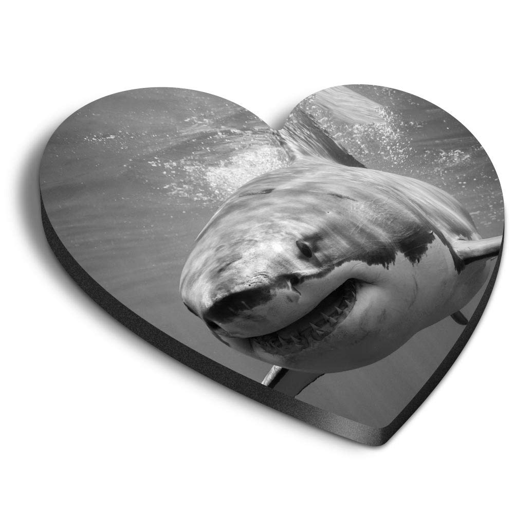 1 x Heart MDF Magnets - Great White Shark Ocean Diving 41156