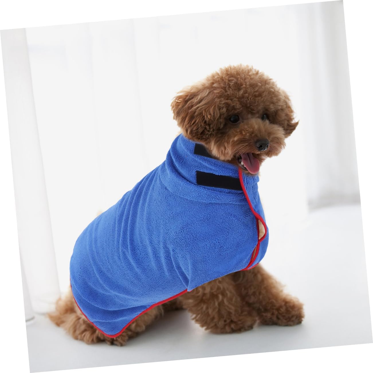 Kisangel PET Bathrobe for Dogs and Cats, Fast Drying Fiber Towel M Blue image 5