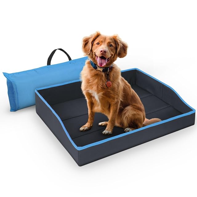 Bestlivings Cama plegable para perros y gatos pequeños - Azul - (80 cm x 60 cm) Cama de viaje