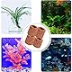 10 Stück Wasserpflanzen Aquarium Keramikringe,Aquarium Keramikringe für Aquarien, Aquarium Filter Ringe,Aquarium Ring Wasserpflanzen, Für Aquariumtanks Teiche
