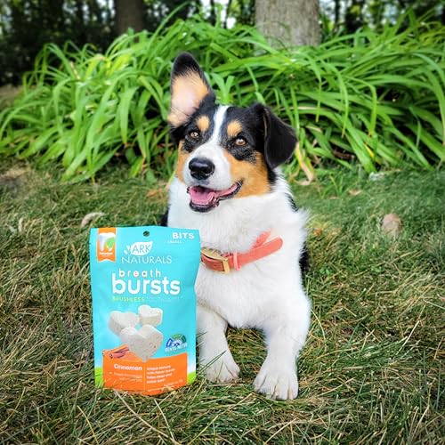 Image of ARK Naturals Breath Bursts Brushless Toothpaste Dog Treats, Dog Dental Bits for Small Breeds, Unique Texture Helps Clean Teeth & Freshen Breath, Cinnamon, 4 oz, 1 Pack