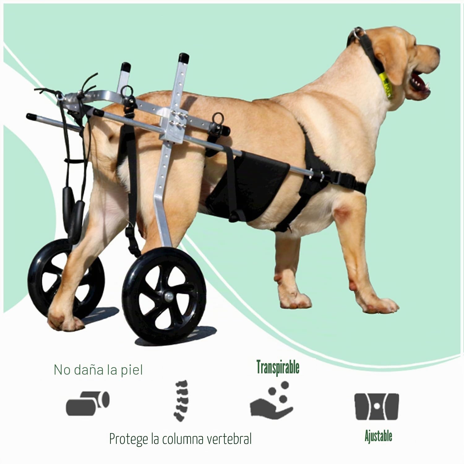 2 Ruedas Silla De Ruedas Ajustable Carro De Animales Con Discapacidad Física Scooter Para Mascotas Para Mascotas Silla De Ruedas Para Rehabilitación De Patas Animales Discapacitadas(Size:M（15-20kg）)