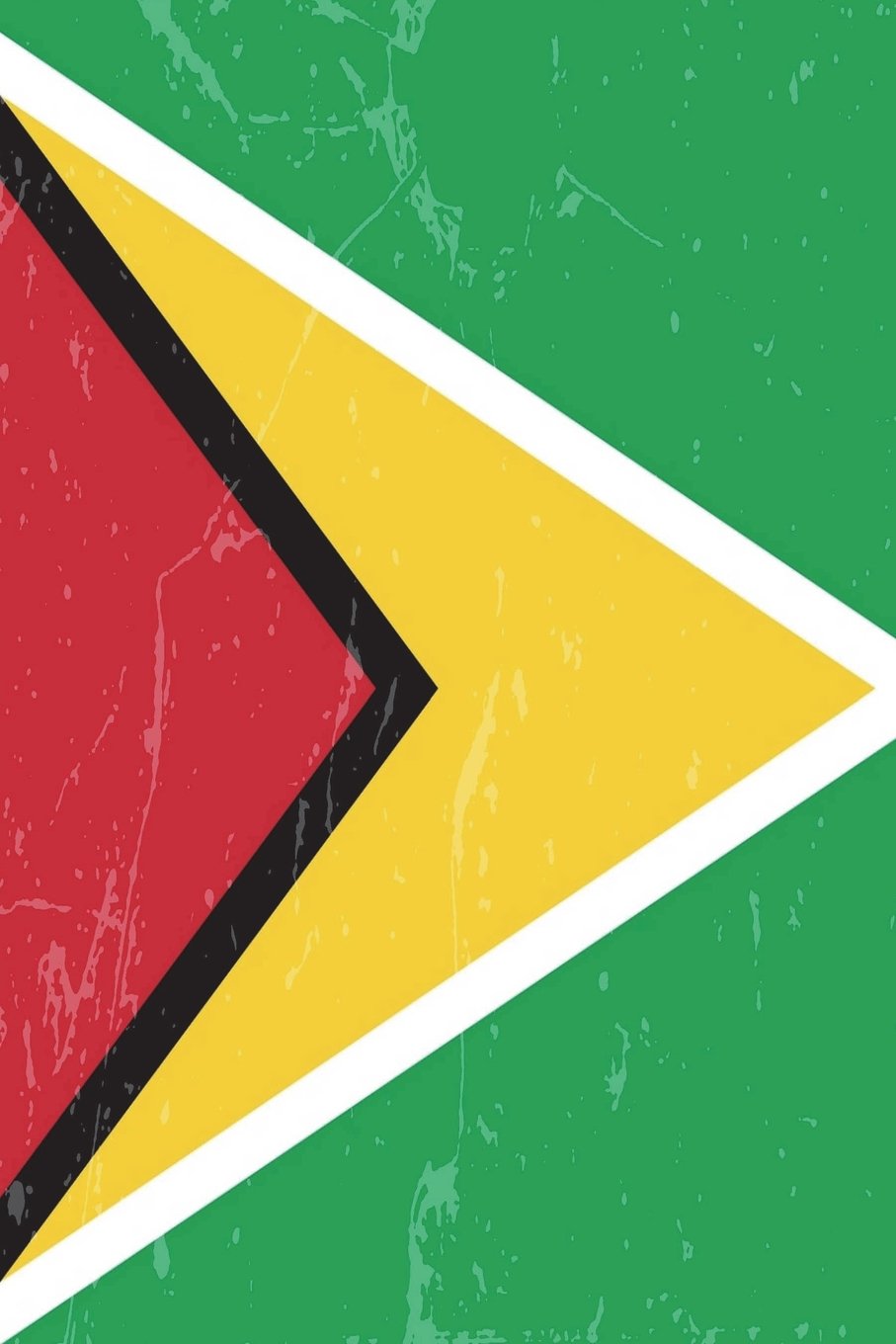Guyana Flag Journal: Guyana Travel Diary, Guyanan Souvenir, lined Journal to write in