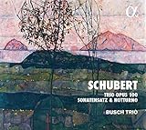 opus v mannheim öffnungszeiten Trio per piano D 929 op 100 n.2 in MI (1827)