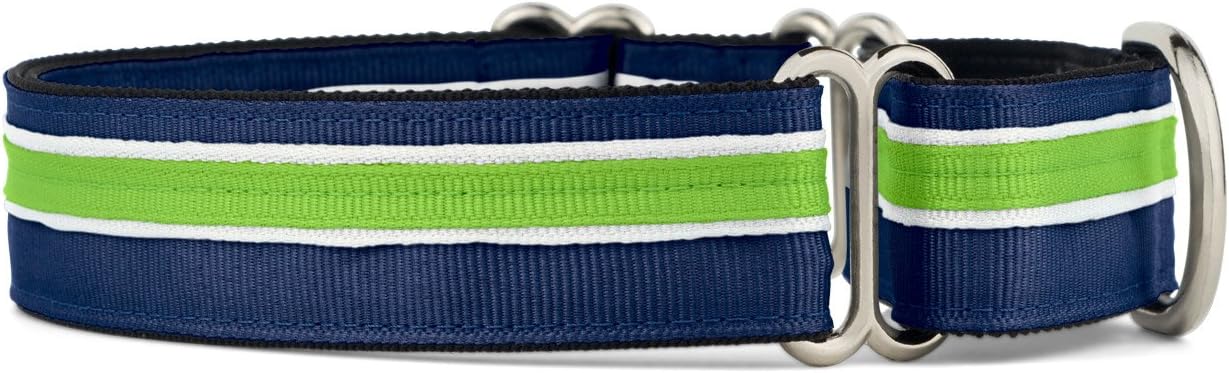 If It Barks 1" Martingale Collar for Dogs, Adjustable Nylon, USA Made, Small, Finley