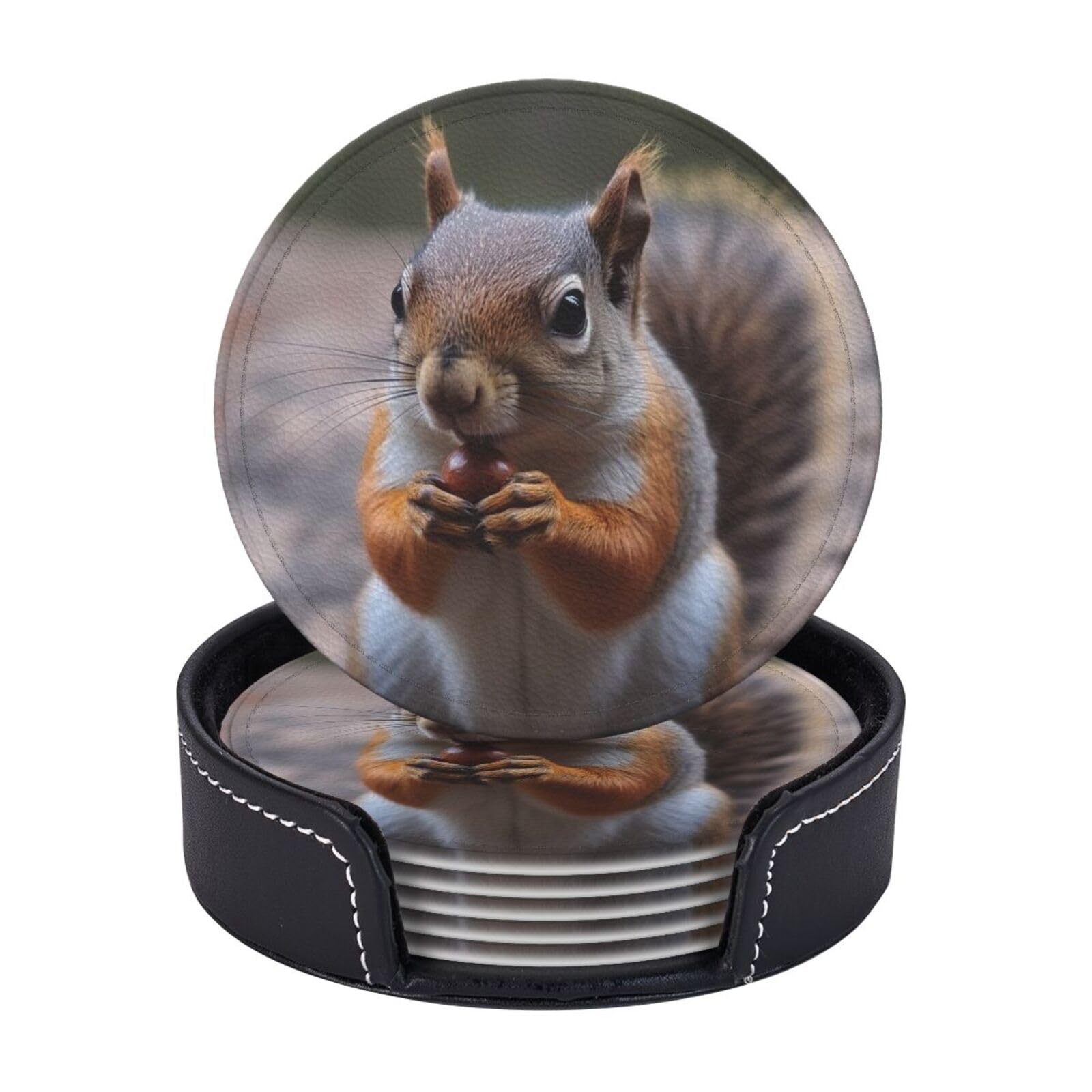 Round Coasters for Drinks Set of 6 - PU Leather Coasters with Holder - Modern Drink Coasters for Coffee Table - Cute Squirrel Coaster for Tabletop Protection 4" Cup Mat Pad