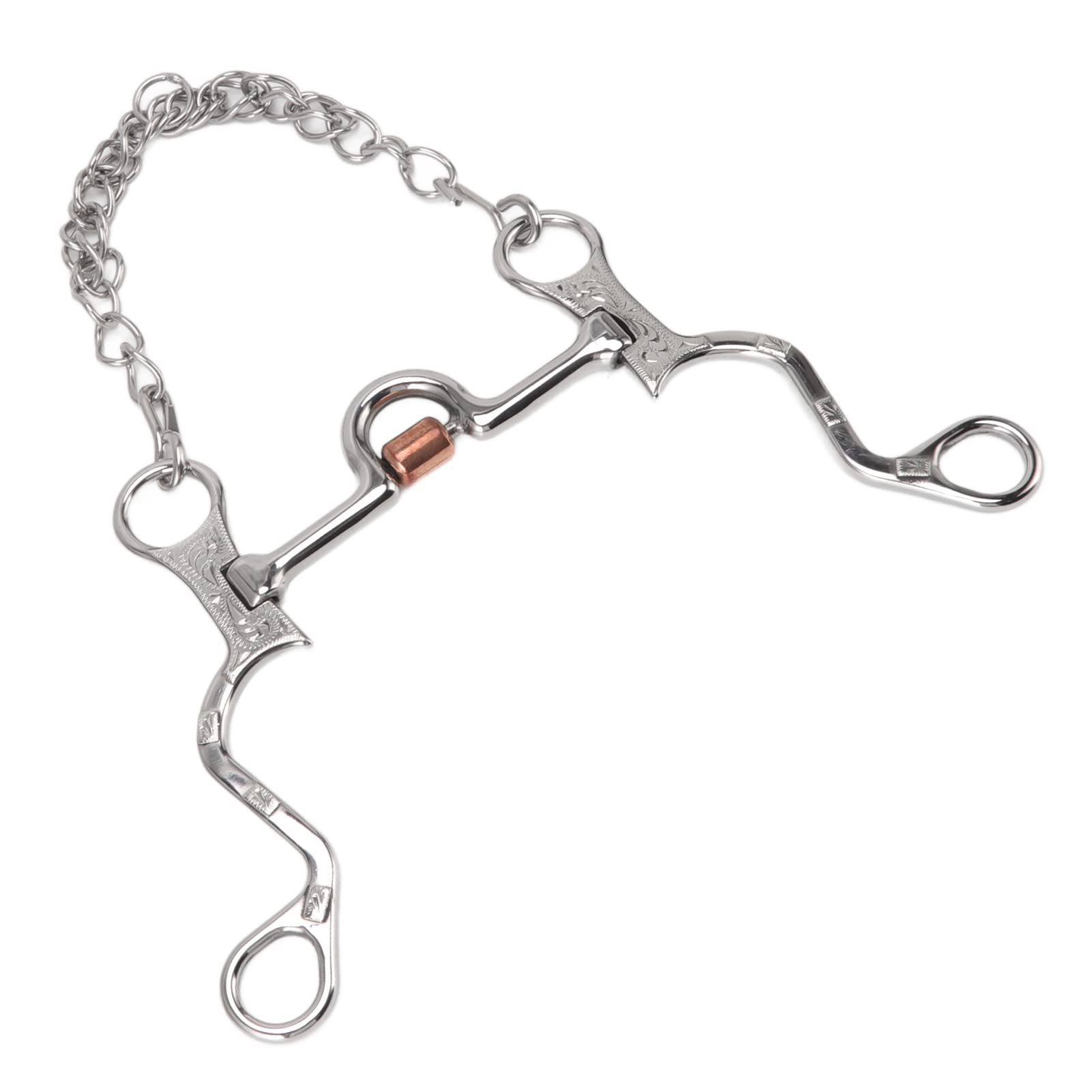 Filete de Boca de Caballo de 120 mm con Cadena, Broca de Caballo de Acero Inoxidable para Equipo de Entrenamiento Ecuestre