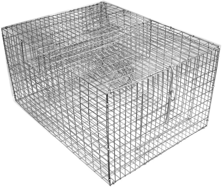 Bi-Level Sparrow Trap - Spacious Two-Chamber 8"x12"x16" Cage - Efficient Multiple Capture Design - Durable & Lightweight (4 lbs) - Humane Bird Control