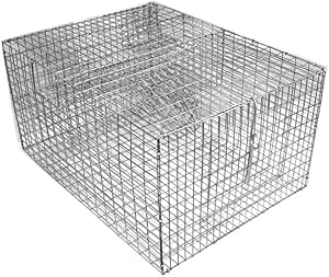 Bird B Gone - Bi-Level Sparrow Trap - Spacious Two-Chamber 8&#34;x12&#34;x16&#34; Cage - Efficient Multiple Capture Design - Durable &amp; Lightweight (4 lbs) - Humane Bird Control