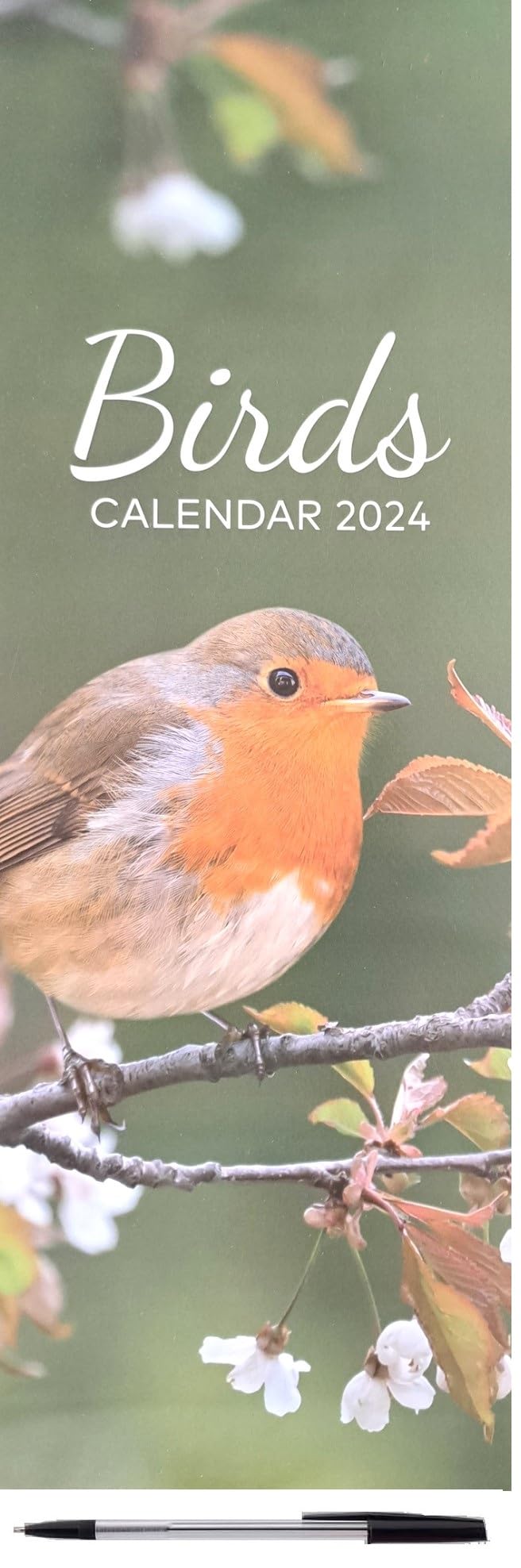 2024 Birds Slim Wall Calendar Wild Garden Avian Robin Blue Tit Green Jay Wren