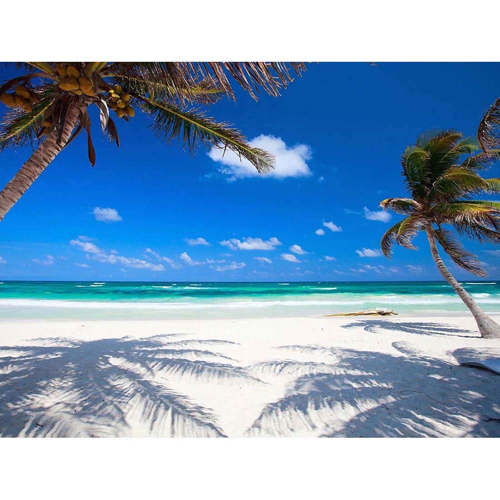 Wee Blue Coo Coconut Palms At Desolate Beach Caribbean Paradise Art Print Poster Wall Decor 12X16 Inch