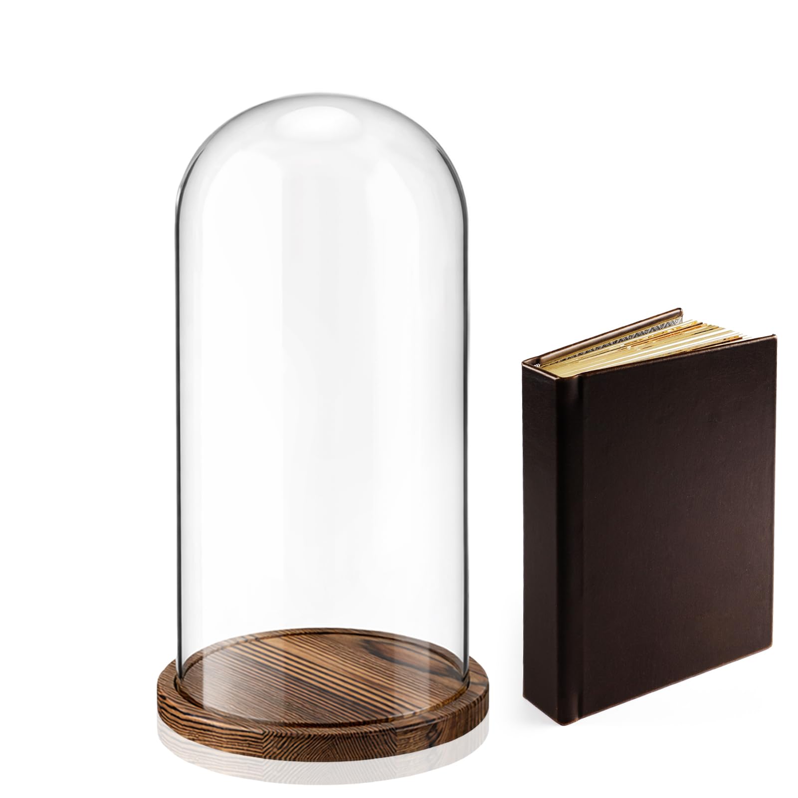 Photo 1 of AceOrbit Glass Dome Cloche Display with Wood Base