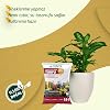 Genta General Use Peat Pot Soil 10 Lt