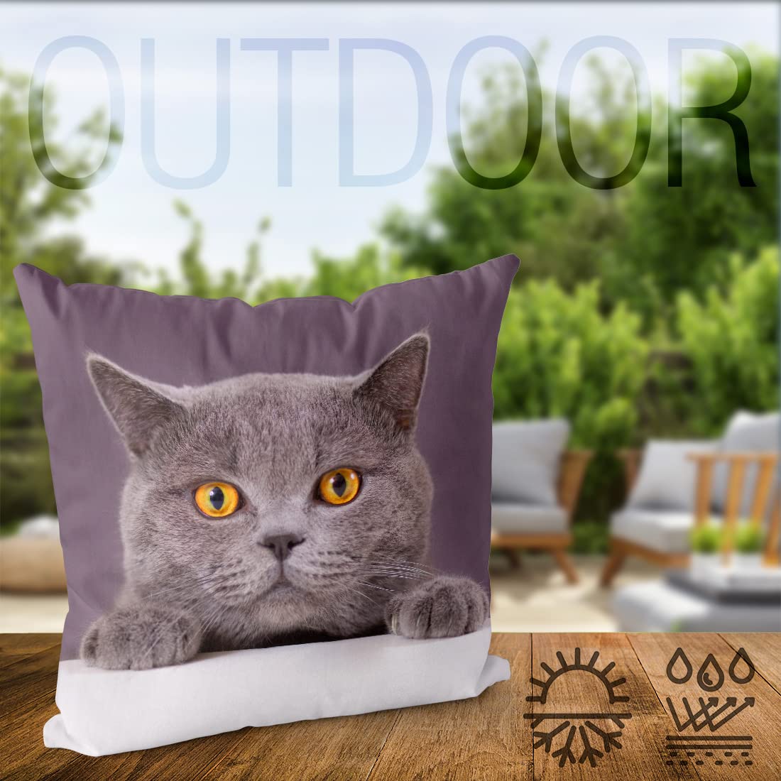 VOID Katze Britisch Kurzhaar Kissenbezug Kissenhülle Sofakissen Kissen Deko Outdoor-Kissen Dekokissen, Kissen Größe:80 x 80 cm