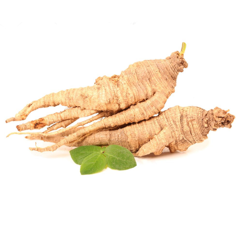 GINSENG BLANC BIO EN POUDRE * 25 portions/Ginseng blanc en poudre 50g * Adaptogéne, énergie, vitalité, antifatigue, équilibre nerveux, libido * Garantie Satisfait ou Rembours * Fabriqué en France
