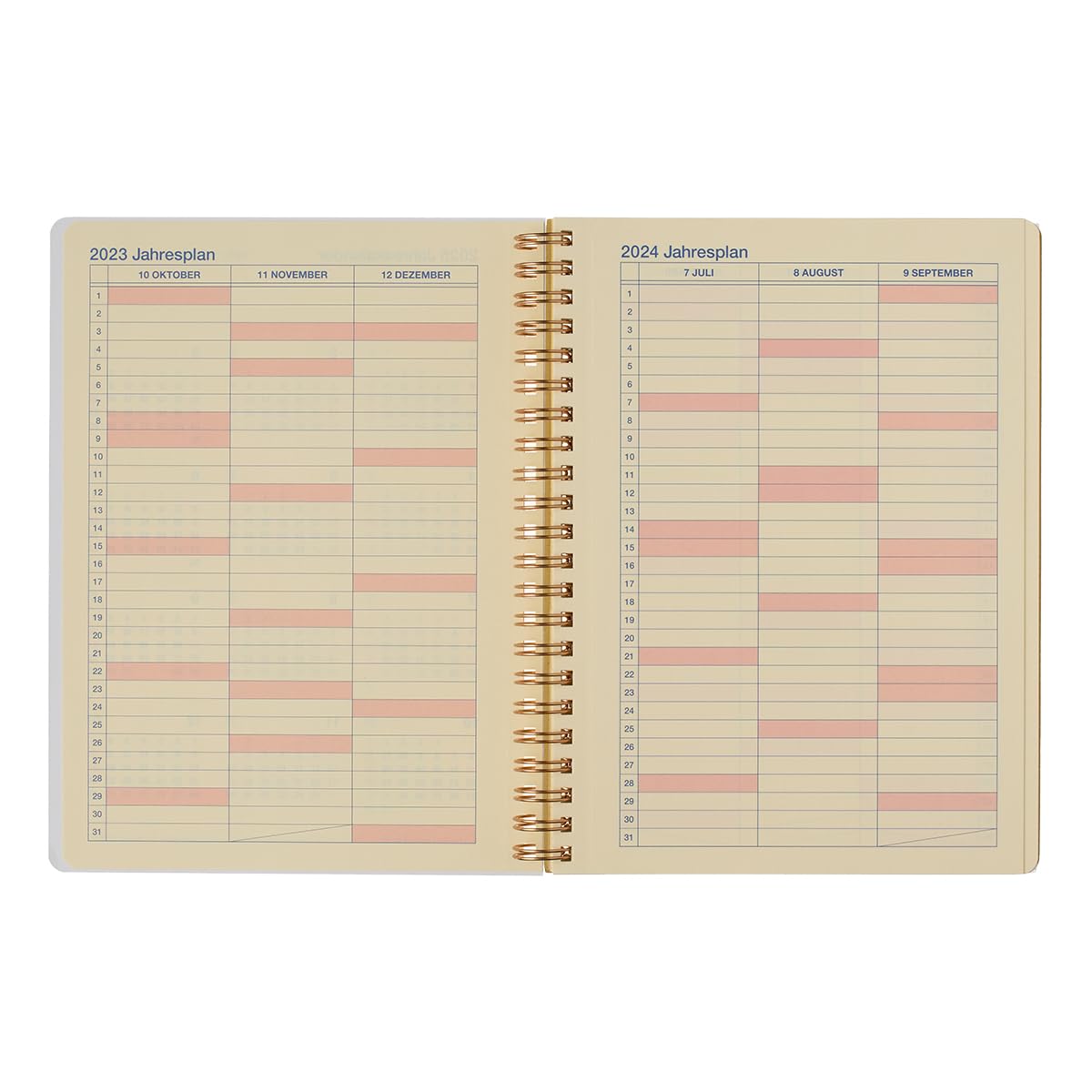 Amazon.co.jp: [Delphonics Notebook, 2024 Edition/Begins October