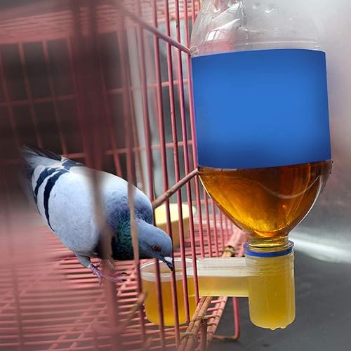 Miniatura 2 de Bebedor de agua para pájaros, botella de agua de soda de plástico, alimentador para pájaros, alimentador de pollo, accesorios de alimentación