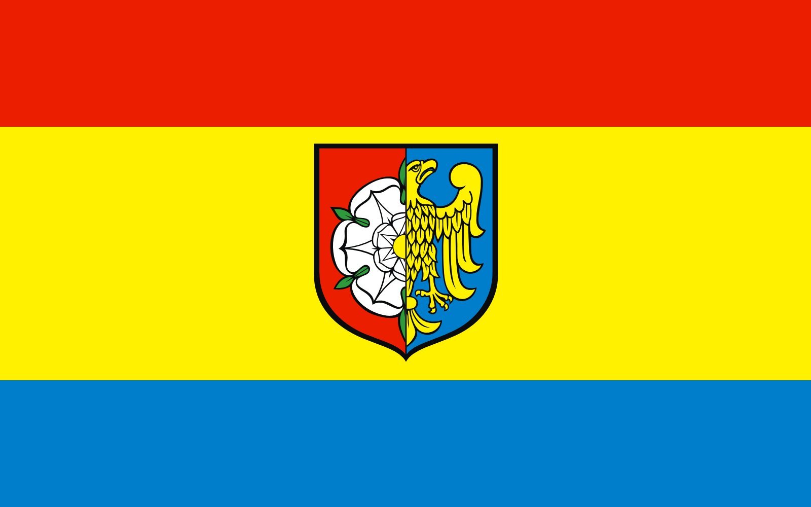 Drapeau Large POL Dobrodzie paysage 1.35m² pavillon pour mât extérieur