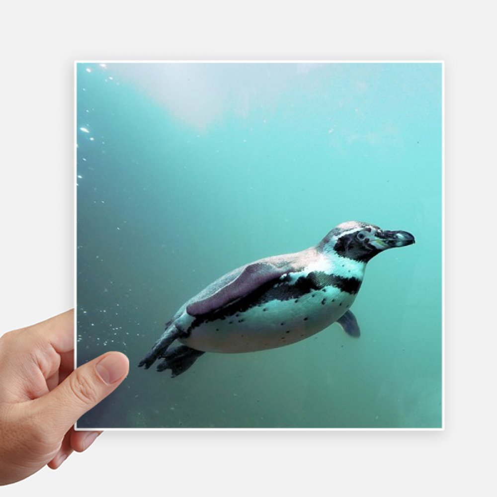Sticker pingouin Antarctique pour reconnaître sa valise facilement