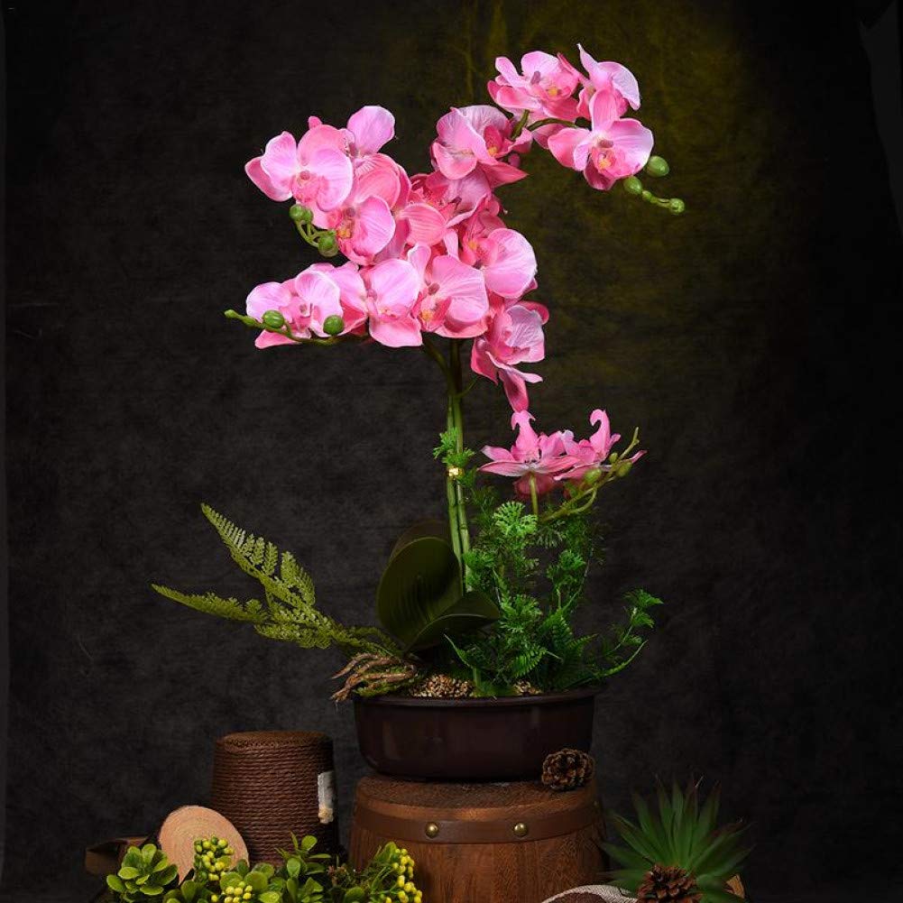 Ornement phalaenopsis simulation sans entretien pour pièce sombre et bureau