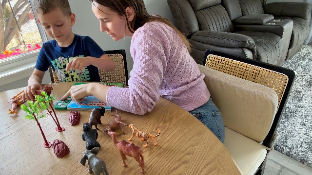 Amazon.com: Tudoccy Safari Animals Figures Toys - 13 Realistic