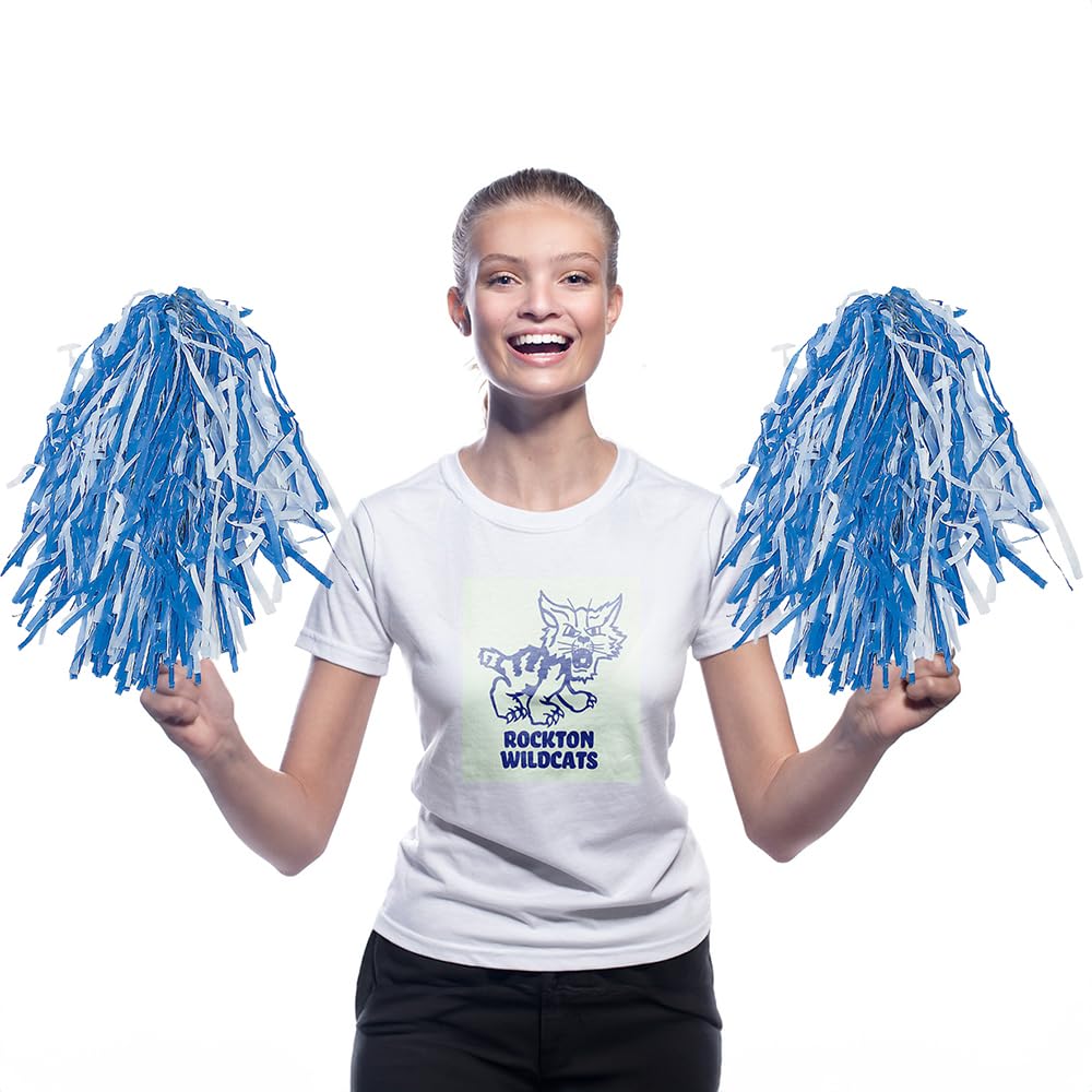 Amazon.com: Fun Express 2-Tone Navy & White Pom Poms