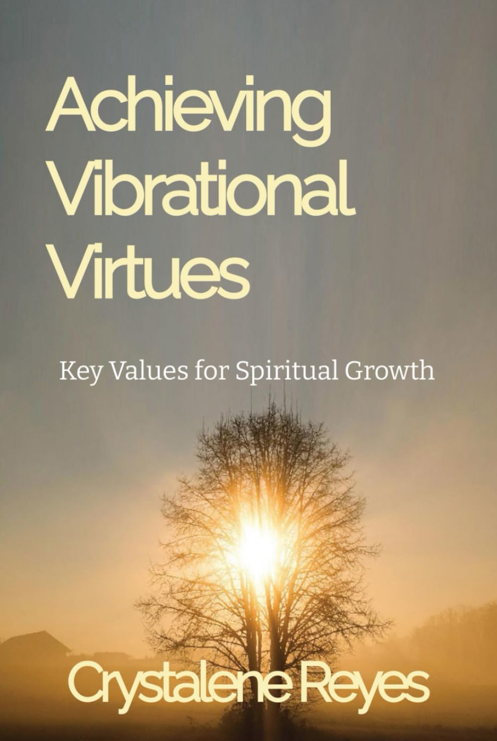 Achieving Vibrational Virtues: Key Values for Spiritual Growth (Through God's Voice)