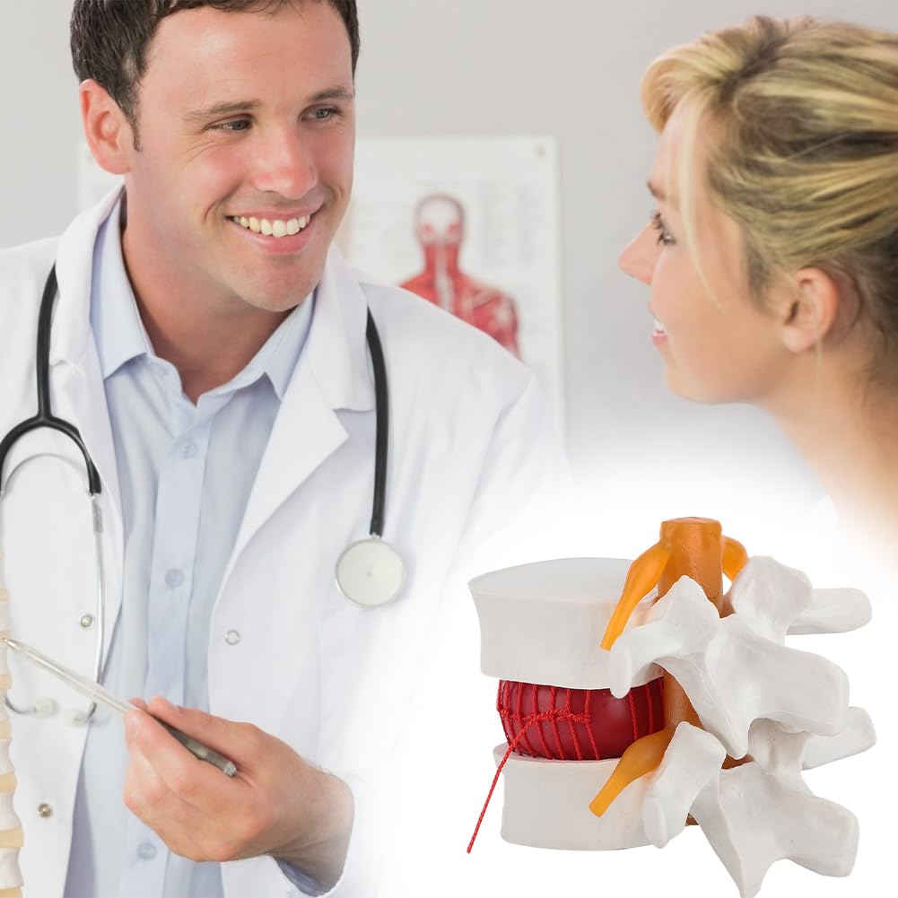 Joyzan Columna Lumbar para Anatomía, Modelo de Vértebras Lumbares Humanas Esqueleto Anatómico Instrumento Enseñanza Hernia Disco Humano Demostración Vertebral Médica Plástico Linical Médico Perfecto