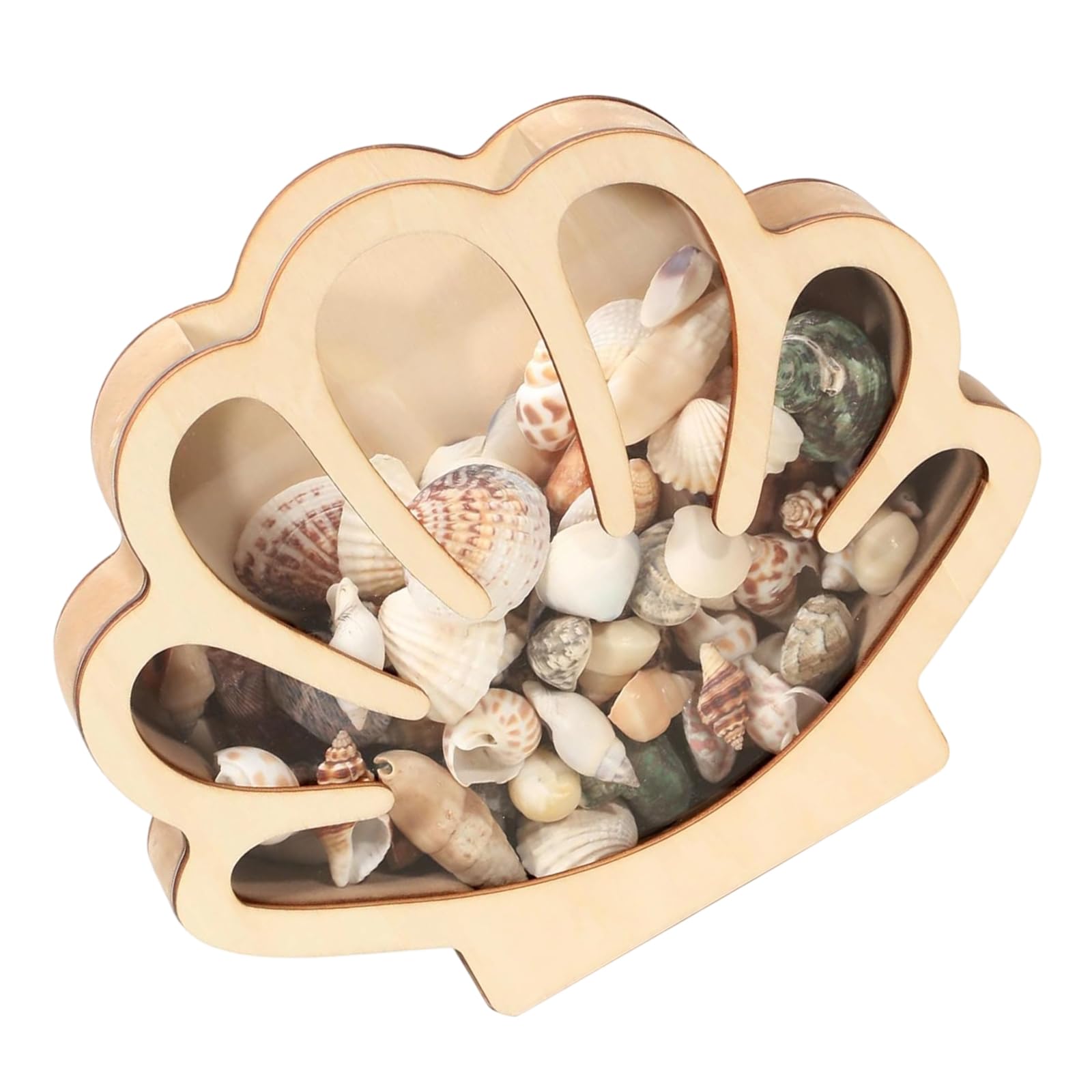 Msioytog Lindens Wood Decorative Shell Box Artistics Home Accent for Storing Rings Earrings or As Gift Present Basswoods Gift Packaging Box
