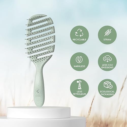 Miniatura 3 de Cepillo de cabello ventilado degradable, cepillo desenredante, cepillo desenredante para cabello rizado, grueso y liso, desenredante seco y húmedo,