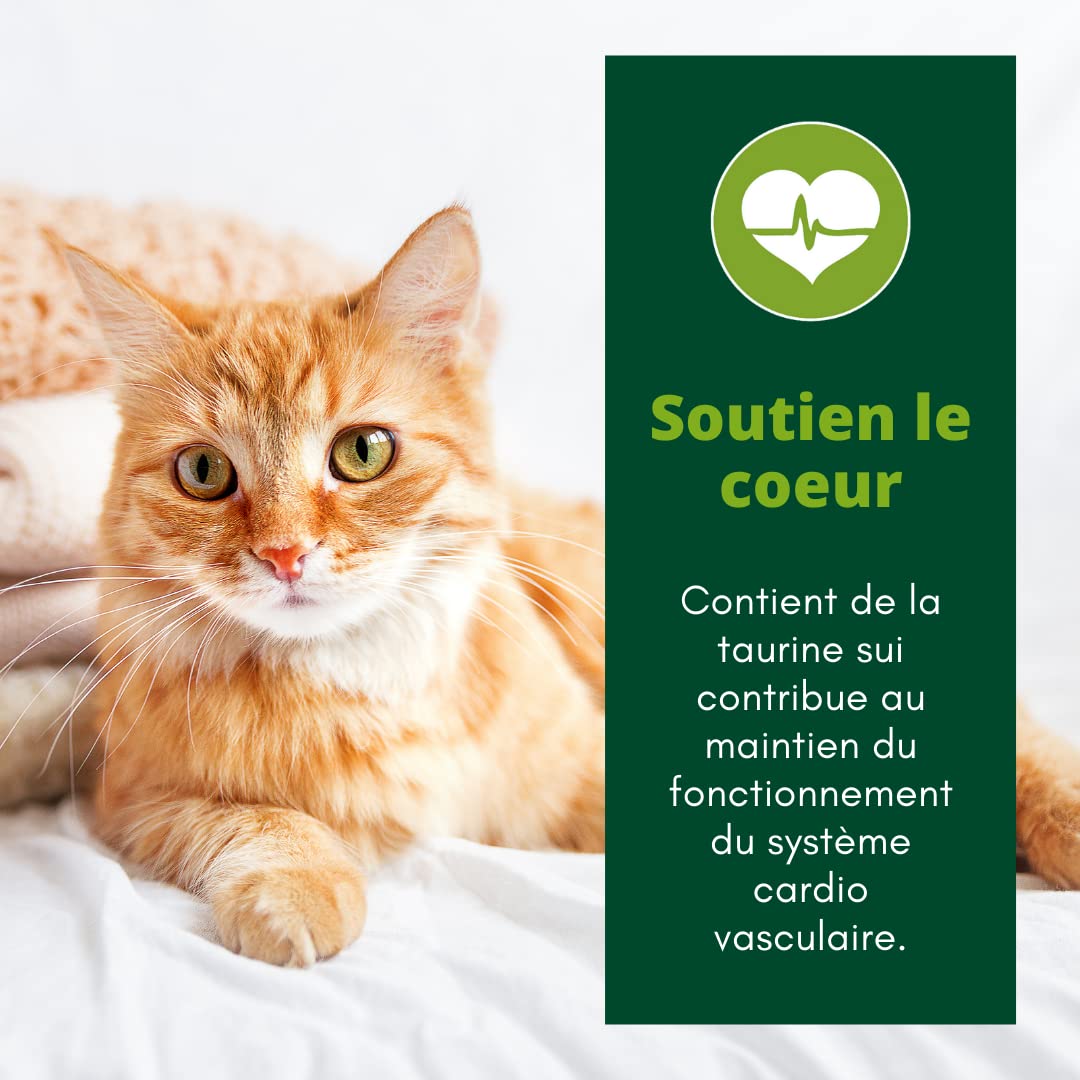 EQUILIBRE & INSTINCT - Chat Stérilisé - Sachet Nourriture Humide Boeuf - Maintien des défenses immunitaires - Recette Complète formulée avec des vétérinaires - 48x85g - Fabriqué en France