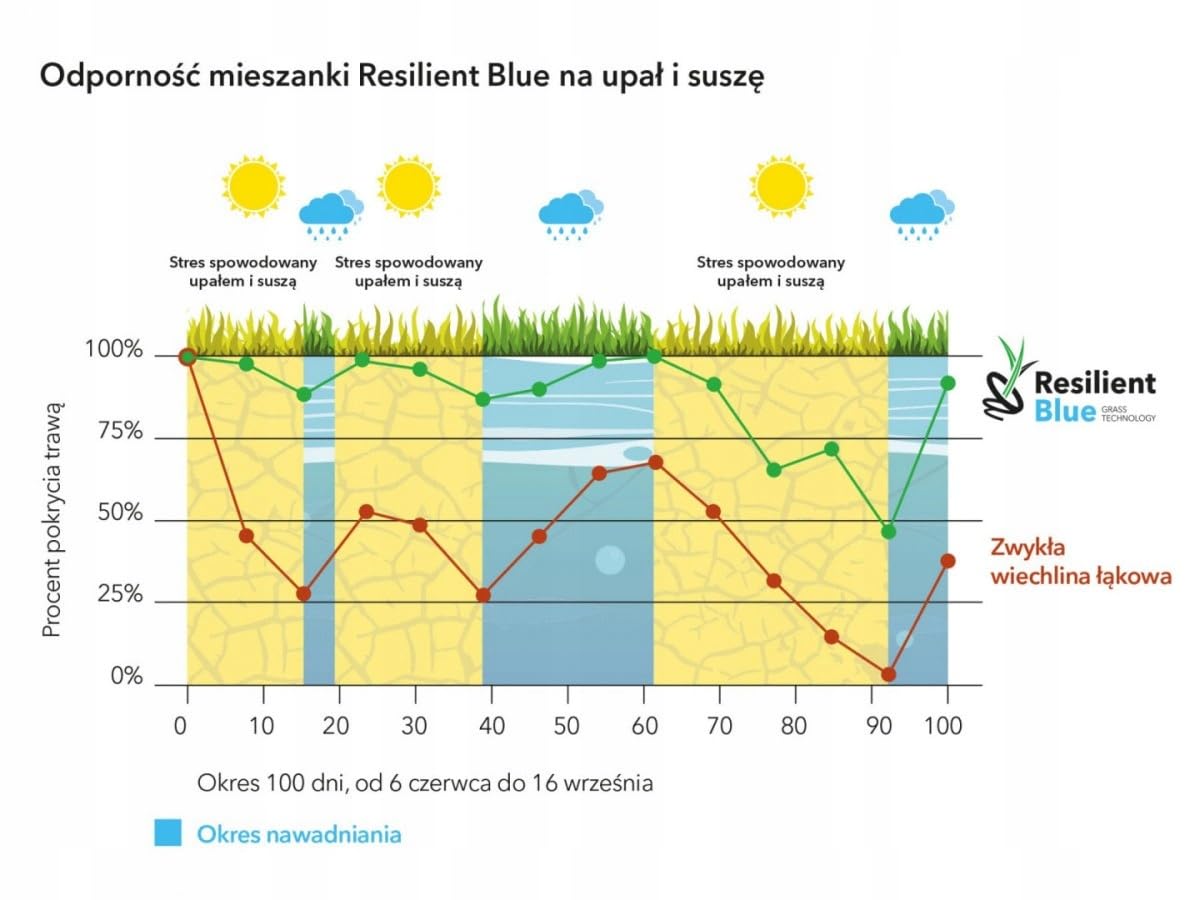 Trawa Odporna Barenbrug Resilient Blue Lawn 5kg Nasiona trawy uniwersalna