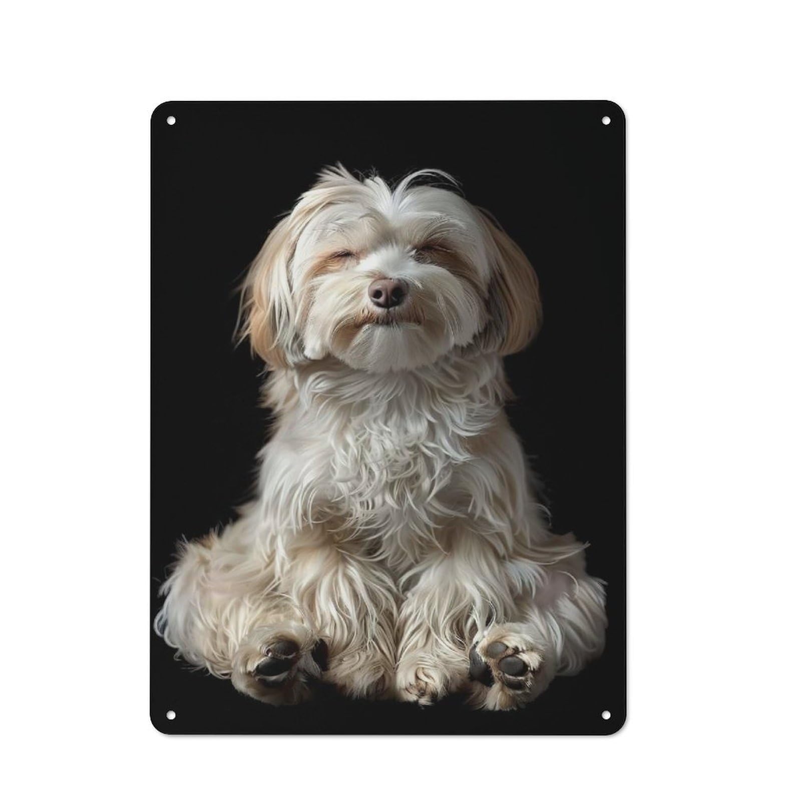 Junmoney Havanese Yoga Relax Rustic Metal Plaque 40X30cm For Hobby Room Or Studio, For Creative Interior Collectors