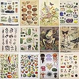 Vintage Wall Collage Kit Aesthetic Pictures Cottagecore Botanical Wall Posters for Room Decor Nature...