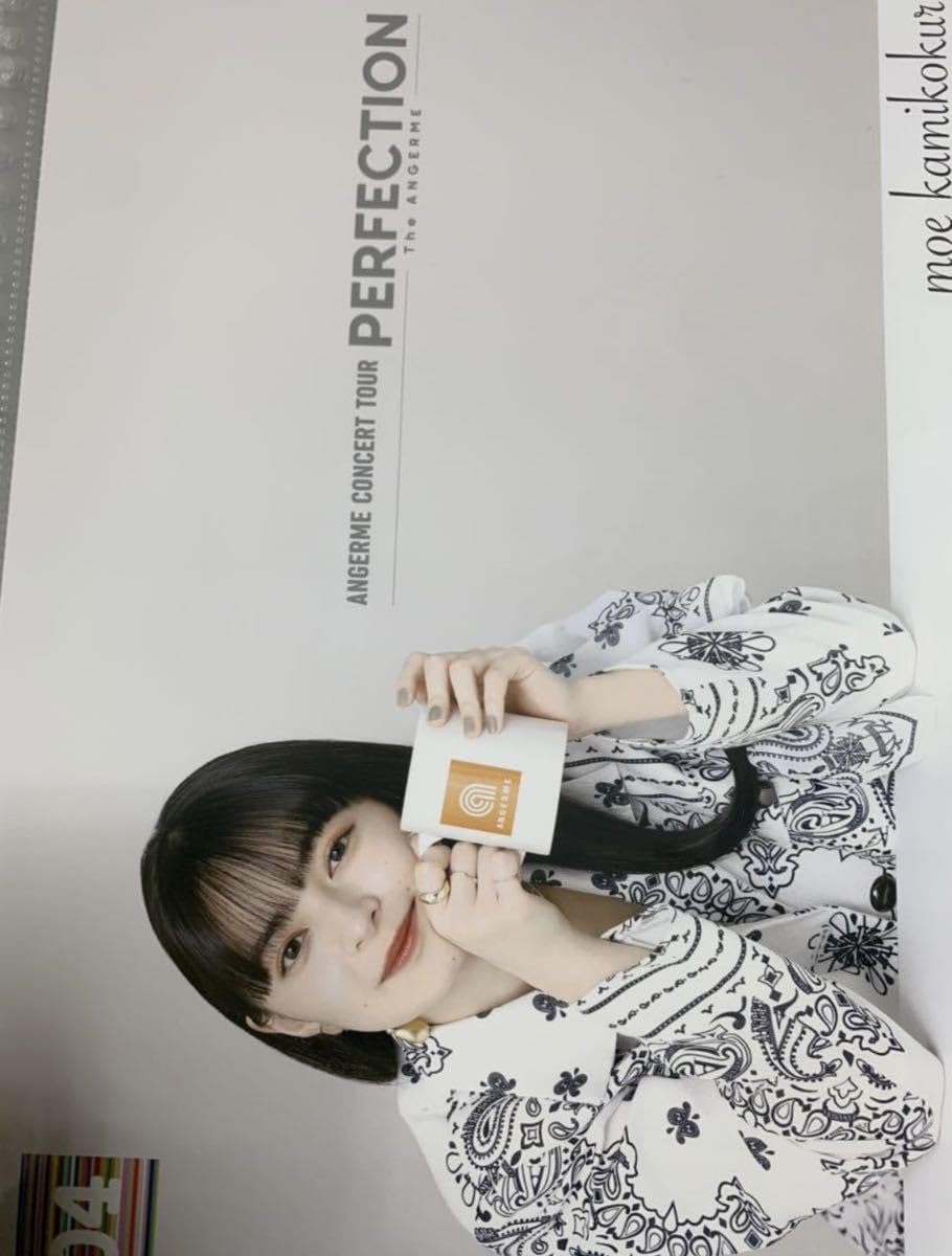 Amazon.co.jp: 上國料萌衣 コレクションピンナップポスター
