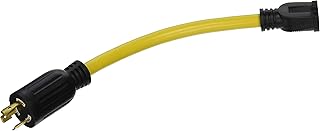 Pit Bull Pig Tail Male Twist To Female Ground