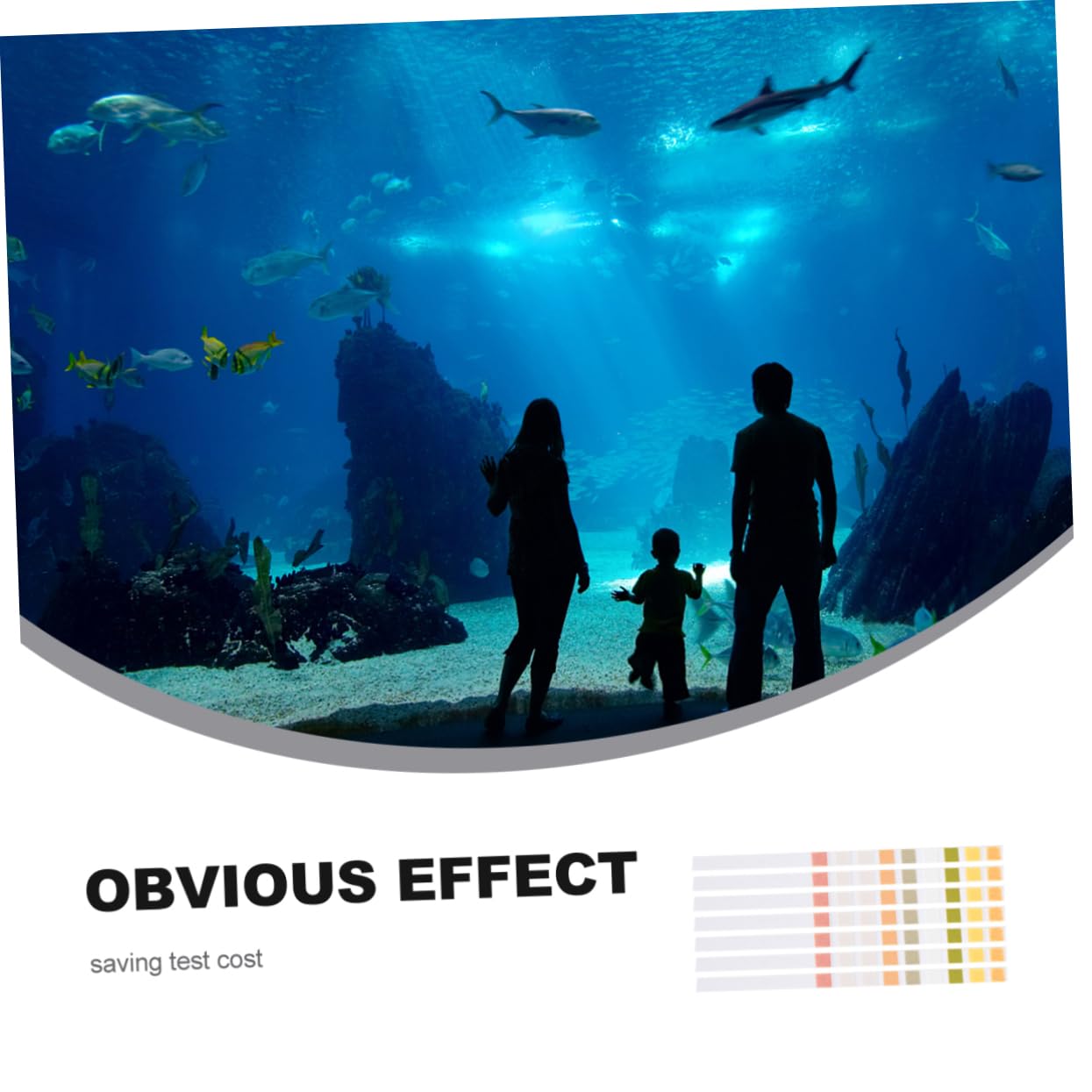 Zerodeko 3 Set Test Di Qualità Dell'Acqua Test Del Ph Strisce Reattive Per Piscina Strisce Reattive Ad Alta Sensibilità Tester Di Qualità Dell'Acqua Dura Kit Per Test 50 pezzi*3