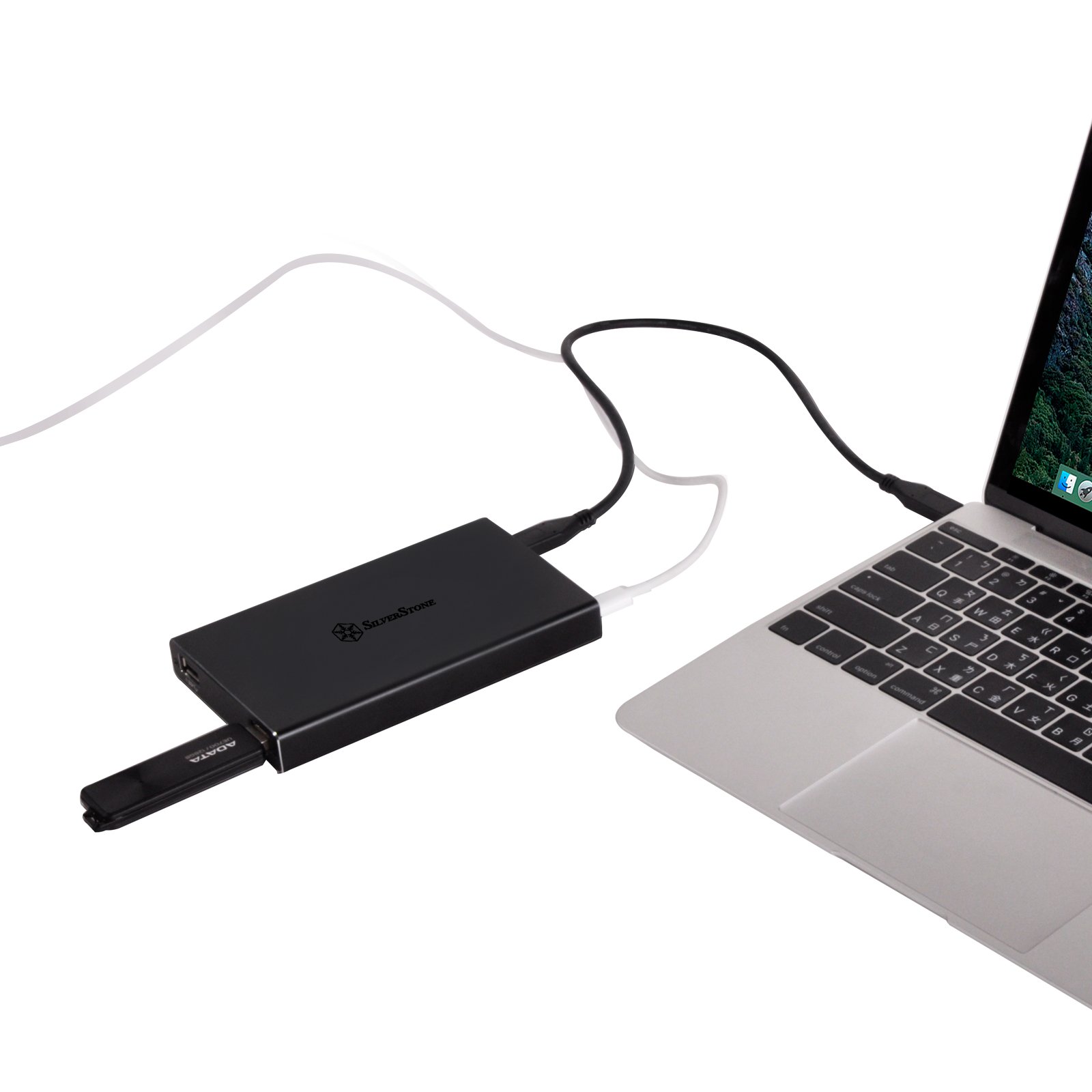 SilverStone SST-TS15B - Custodia per Hard Disk Drive USB 3.1 Tipo C per custodia da 9.5mm 2.5" SSD/HDD, Supporto UASP, alluminio, nero