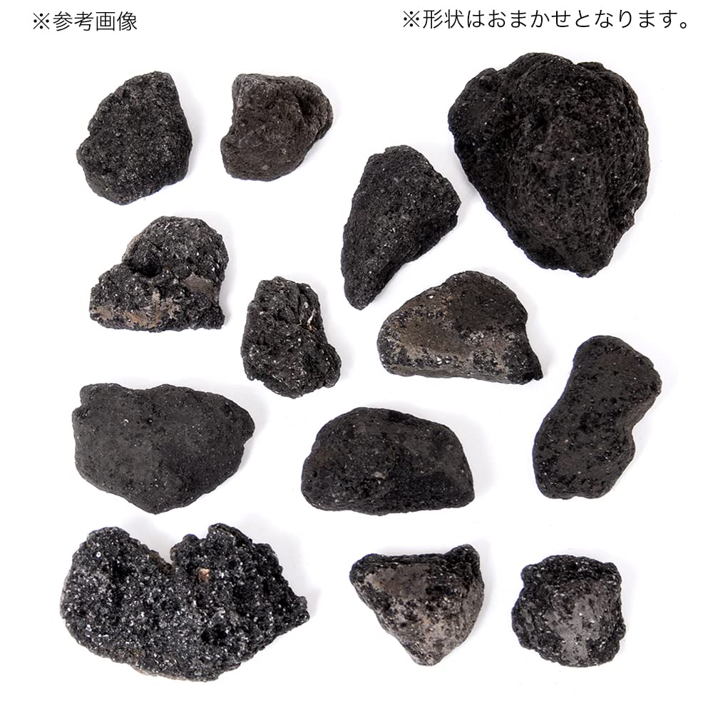 Amazon.co.jp: 形状お任せ 浅間溶岩石 ボトルアクア用（約2～10cm