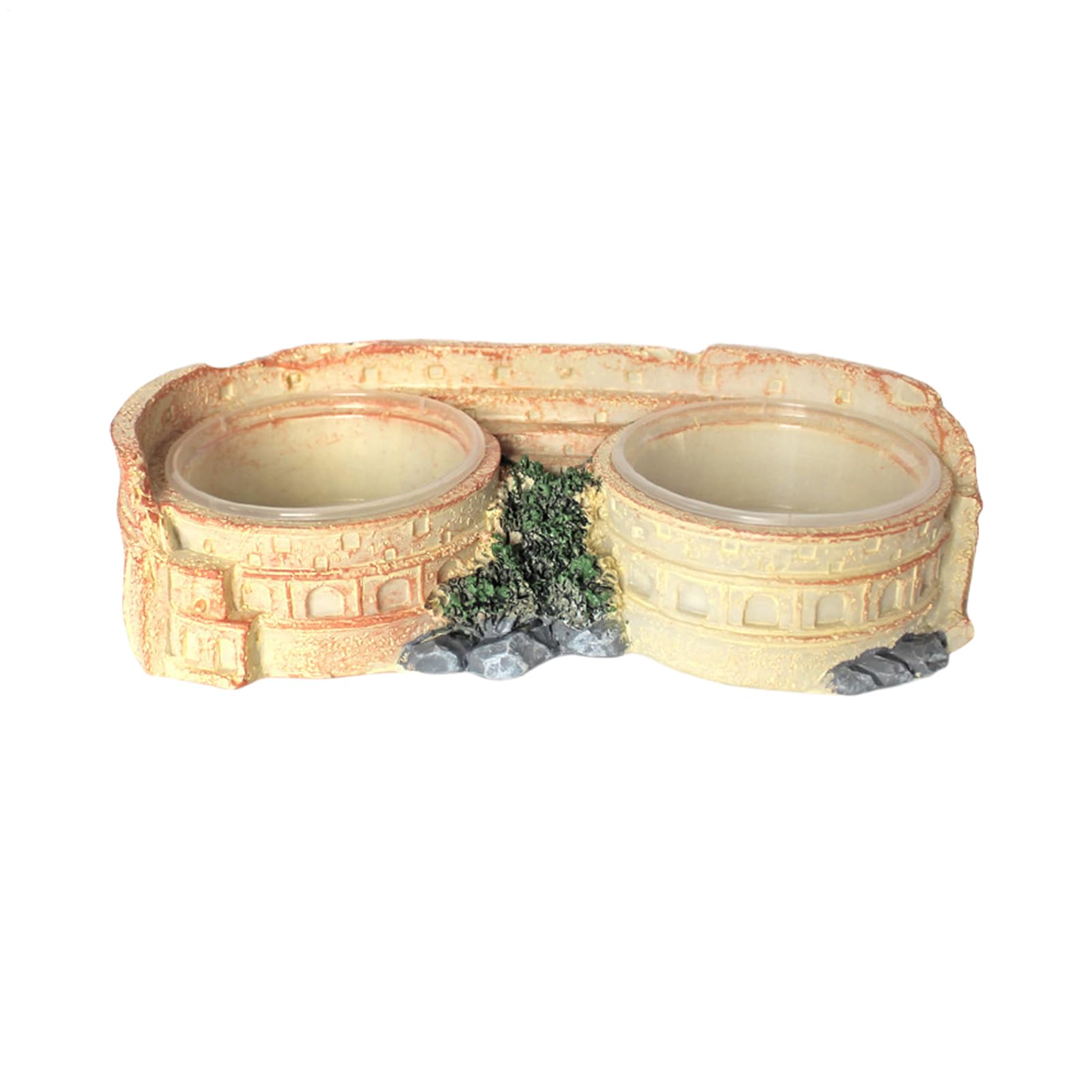 Bol pour terrarium de lézard et gecko avec support de nourriture compact