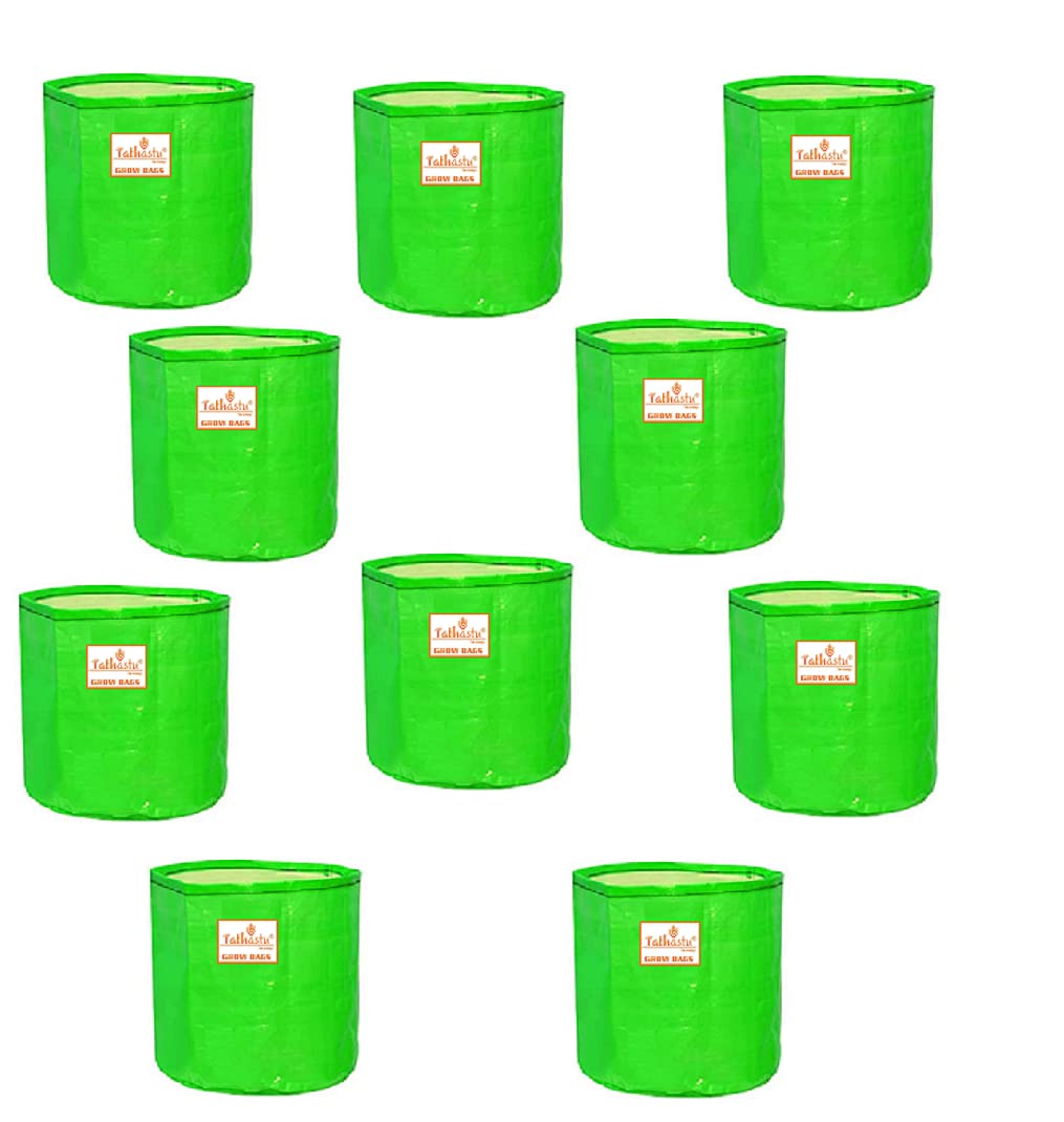 Tathastu The Purity 6 X 6 Pack 10| 250 GSM Organics Terrace Home & Kitchen Gardening HDPE Circular 100% UV Treated Grow Bags (Plant Bags), Thick & Durable for Vegetable Fruits and Flower Plants (B09M69L9ZP) Amazon Price History, Amazon Price Tracker