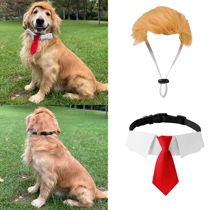 Disfraz para Mascotas Peluca Rubia con Corbata Talla S