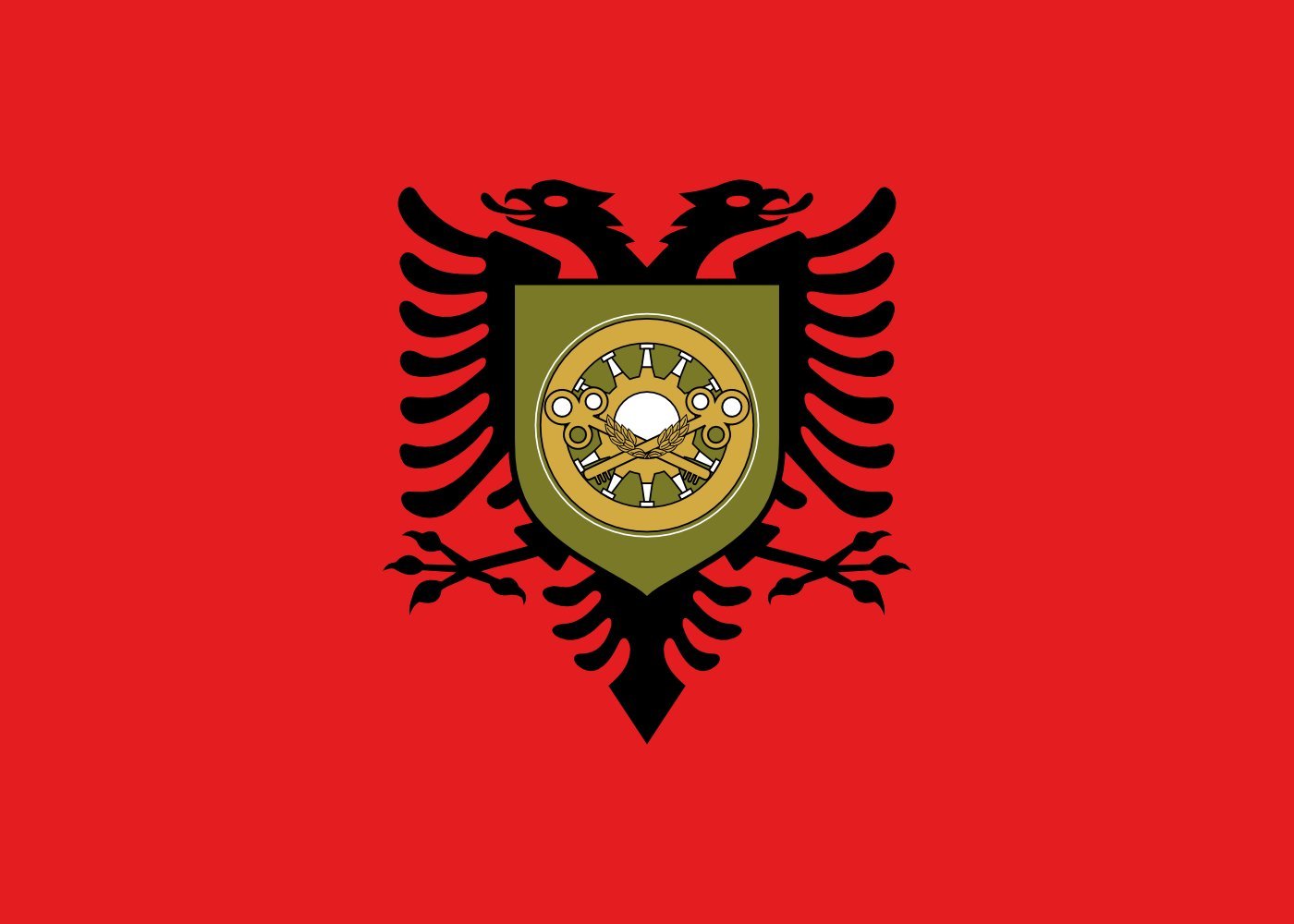 Drapeau Albanie Logistics Brigade grand format pour cérémonie militaire