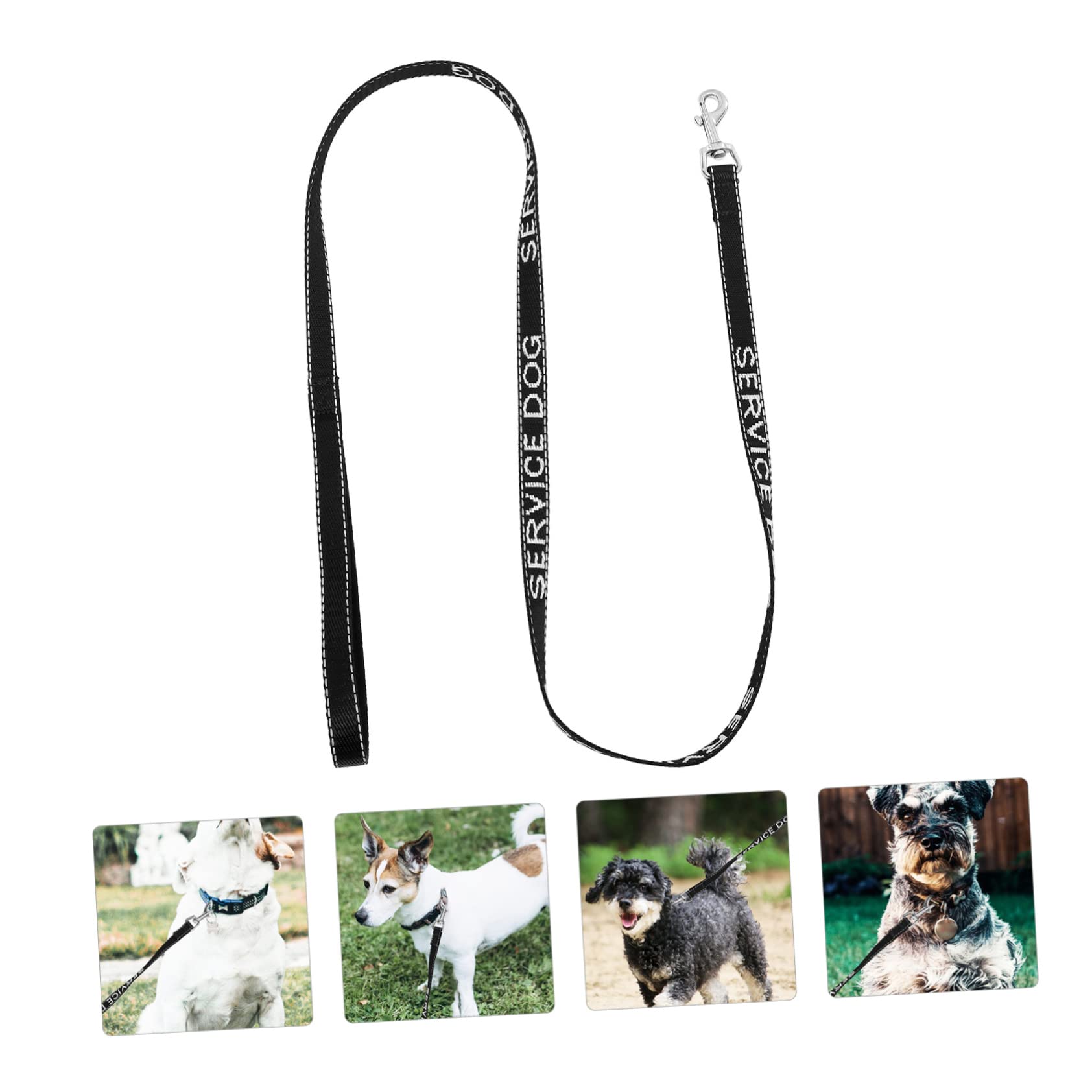 BESPORTBLE 5piezas Correa De Perro Portable Arnés Multi-Funcional Ligero Suministros para Cachorros para Paseos Al Aire